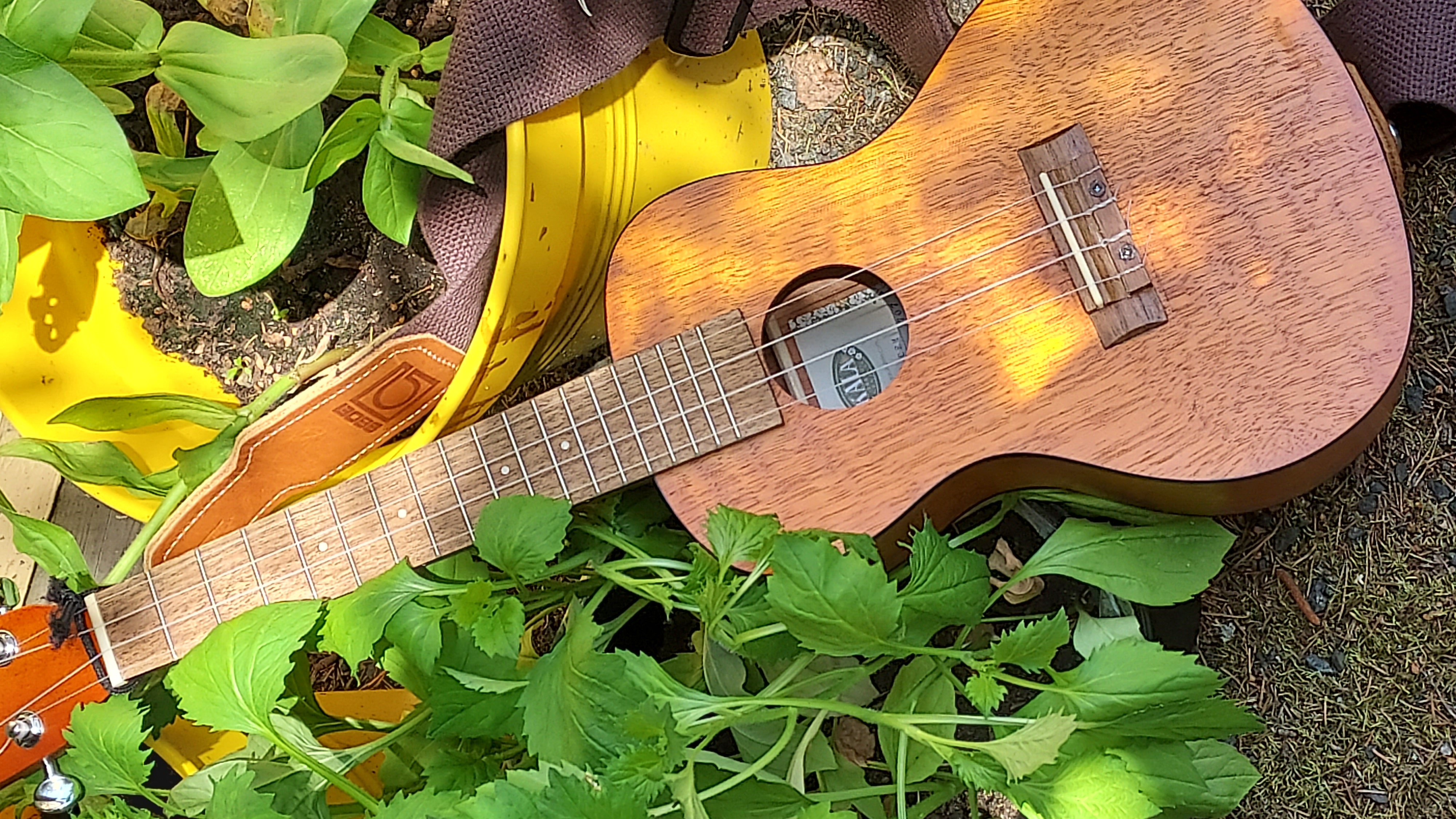 UKULELERYHMÄ kuvassa ukulele kukkien keskellä