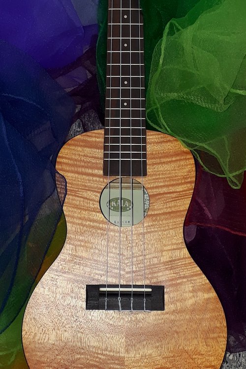 Kesäisiä yhteislauluja ukulelesäestyksellä Kesäisiä yhteislauluja ukulelesäestyksellä